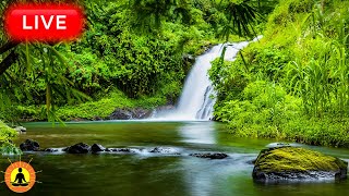 🔴 Relaxing Music 24/7, Healing Music, Meditation Music, Spa Music, Sleep, Zen, Study Music, River screenshot 5